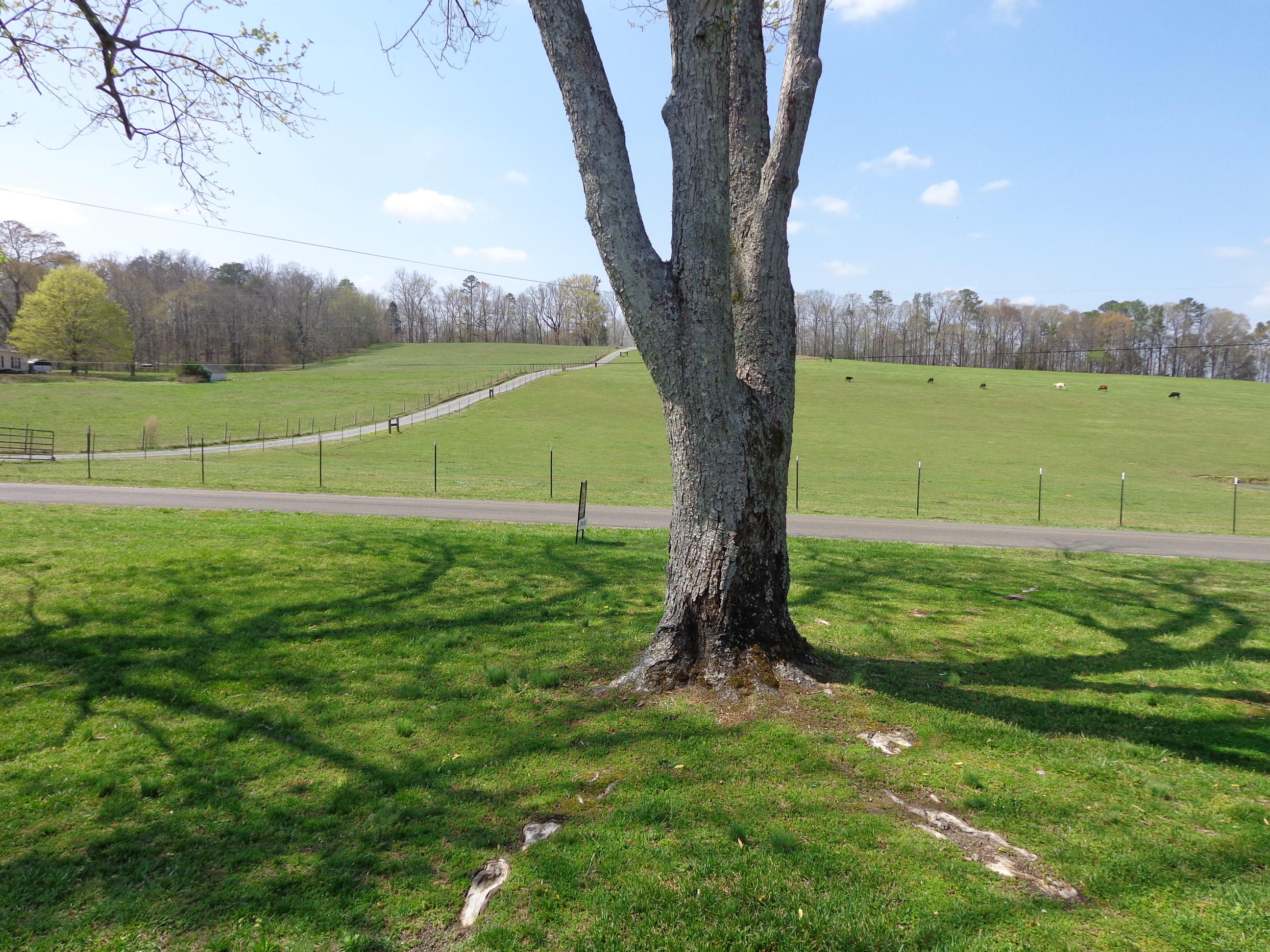 372 Sugar Creek Road Southeast Cleveland, TN 37323 - Photo 13 of 18 DSC02856