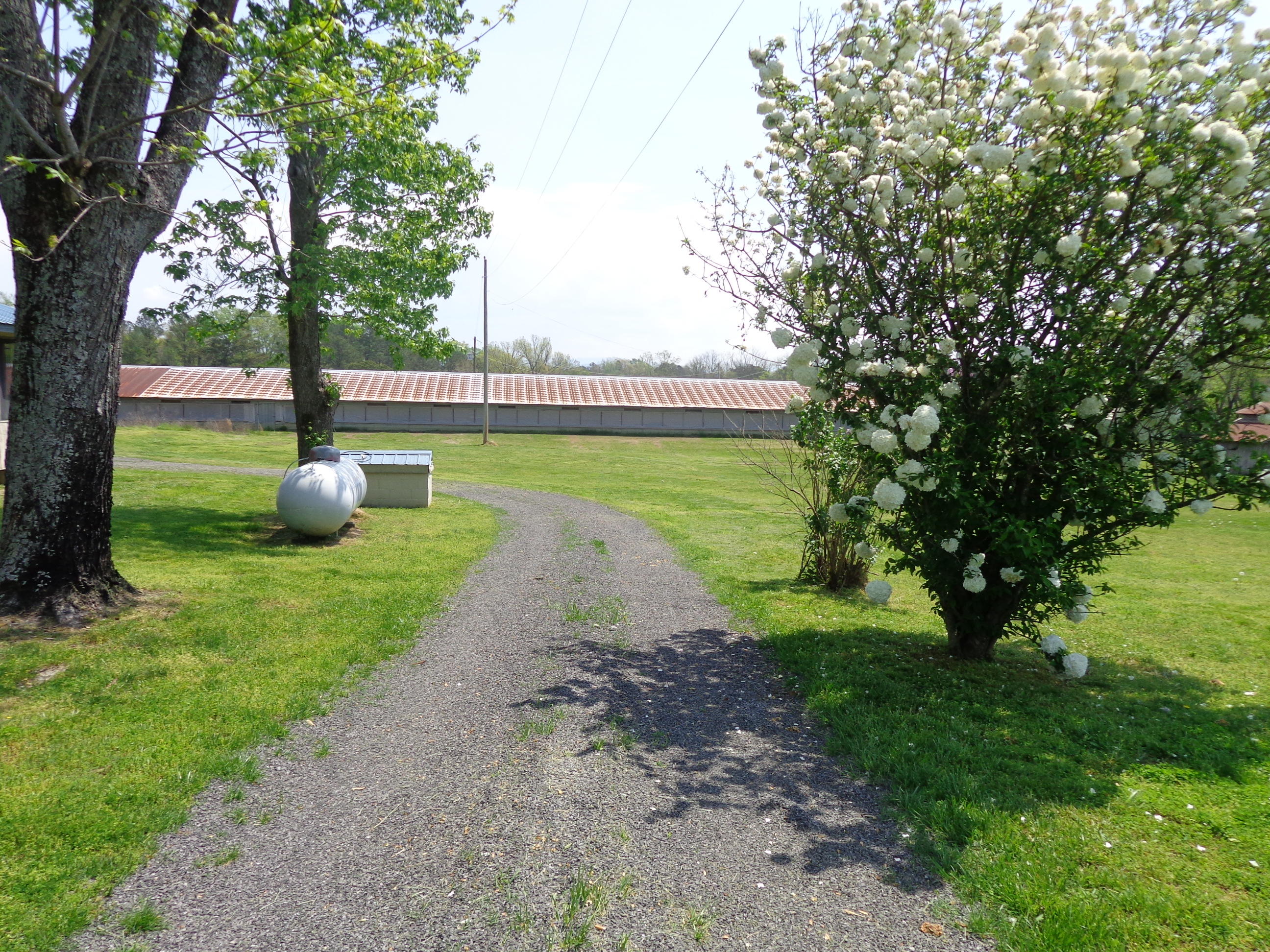 372 Sugar Creek Road Southeast Cleveland, TN 37323 - Photo 3 of 18 DSC02871