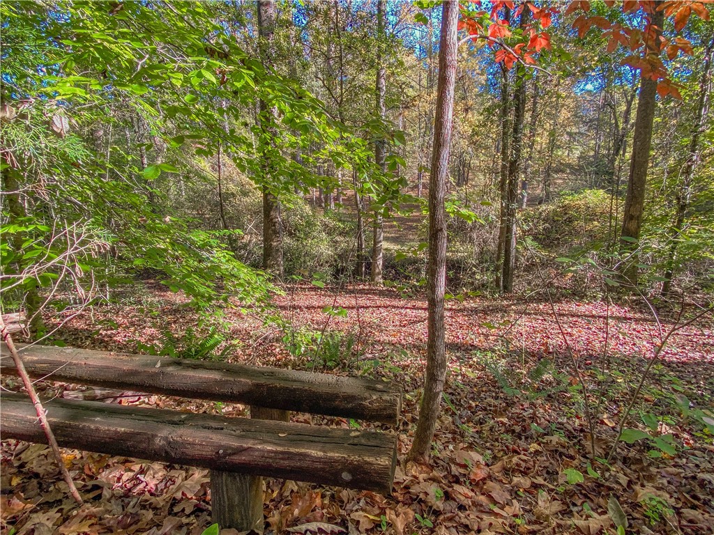 145 Warner Mill Road Walhalla, SC 29691 - Photo 4 of 50 Gallery Image 4