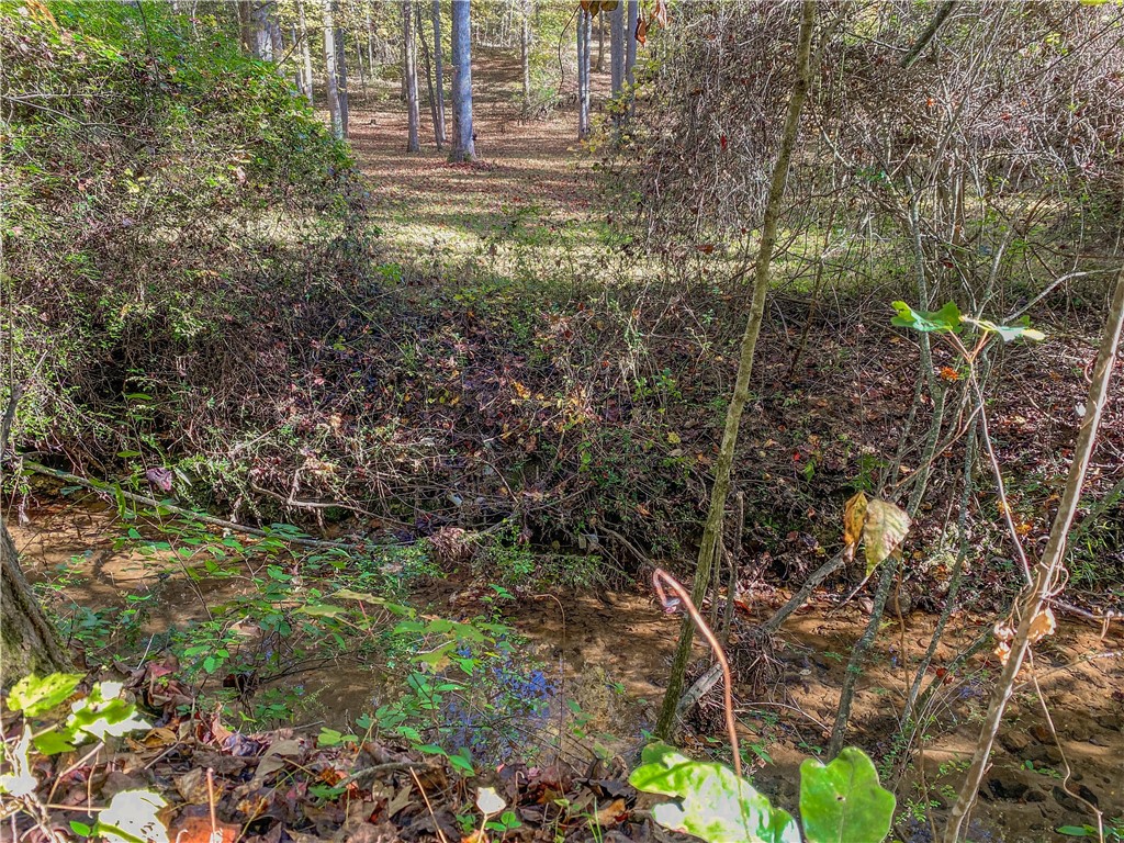 145 Warner Mill Road Walhalla, SC 29691 - Photo 47 of 50 Gallery Image 47