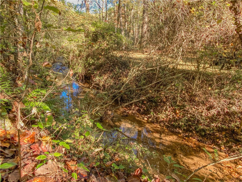 145 Warner Mill Road Walhalla, SC 29691 - Photo 49 of 50 Gallery Image 49