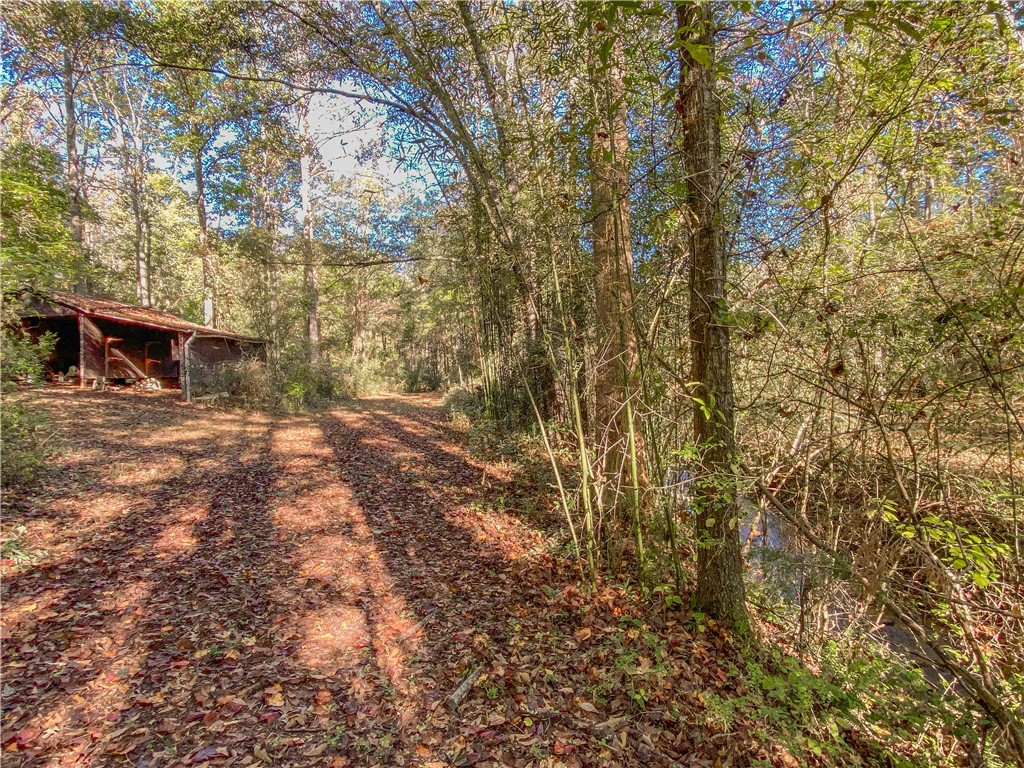 145 Warner Mill Road Walhalla, SC 29691 - Photo 50 of 50 Gallery Image 50