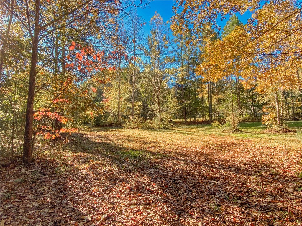 145 Warner Mill Road Walhalla, SC 29691 - Photo 5 of 50 Gallery Image 5