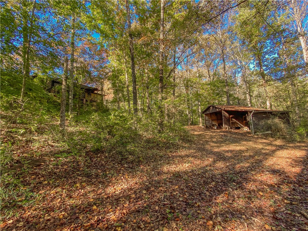 145 Warner Mill Road Walhalla, SC 29691 - Photo 6 of 50 Gallery Image 6