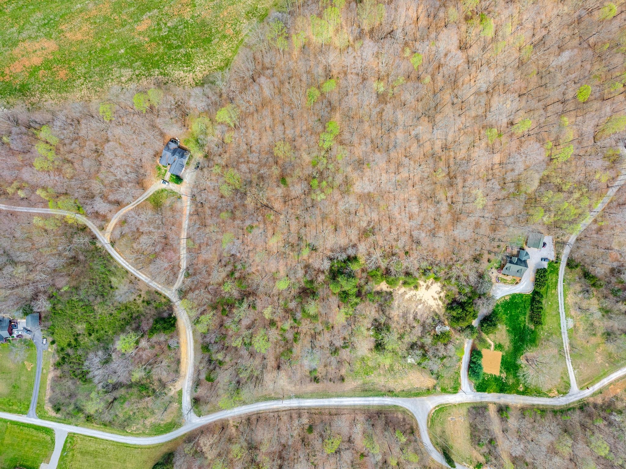 0 Cave Valley Road Byrdstown, TN 38549 - Photo 11 of 11