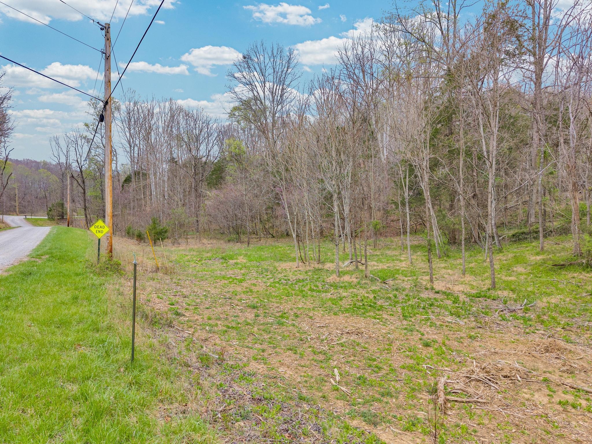 0 Cave Valley Road Byrdstown, TN 38549 - Photo 2 of 11