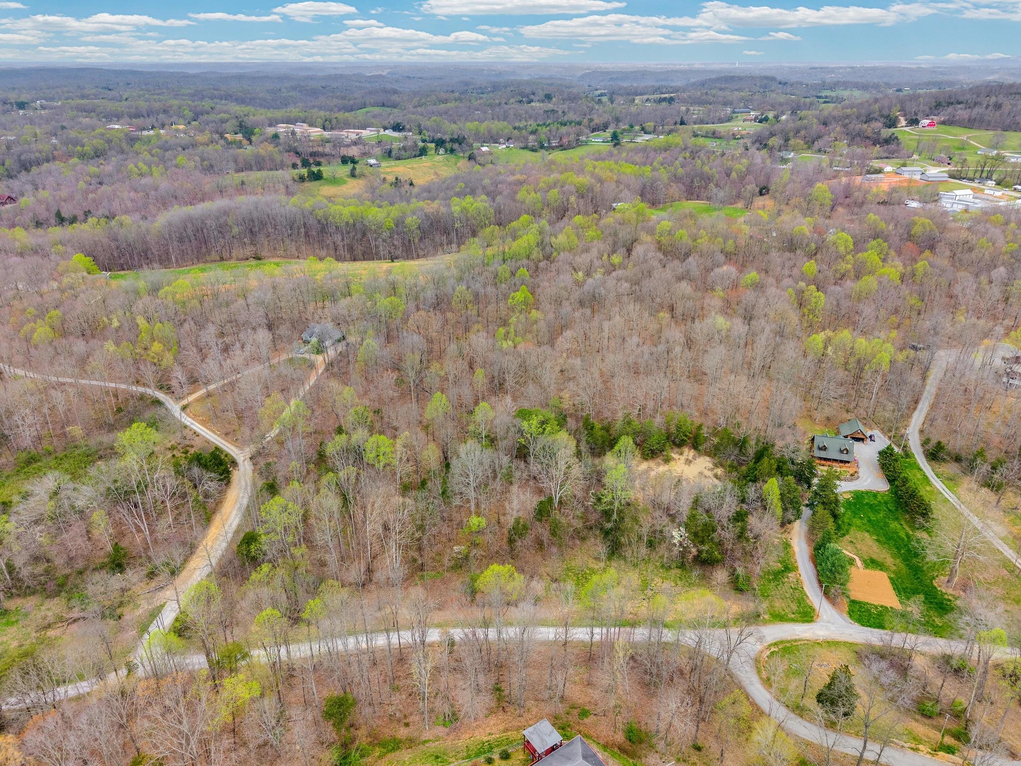 0 Cave Valley Road Byrdstown, TN 38549 - Photo 9 of 11