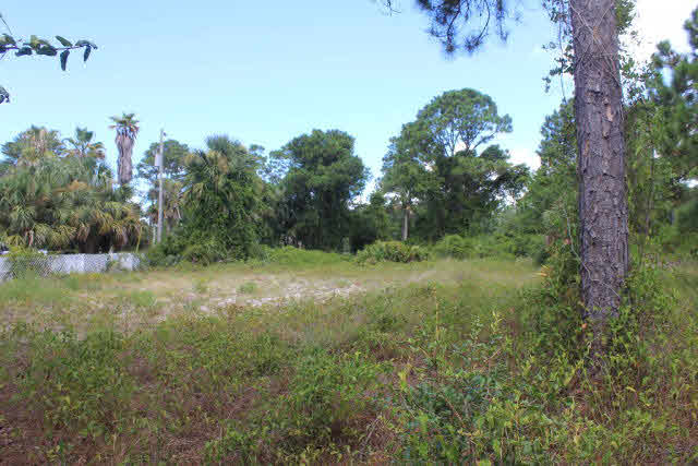 161 Highway 161 Orange Beach, AL 36561 - Photo 6 of 7