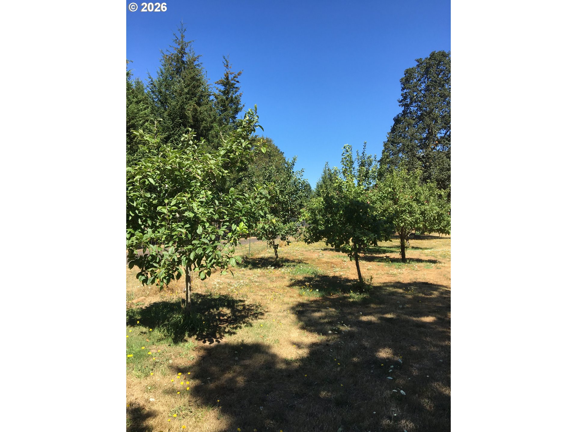 29821 Jeans Road Veneta, OR 97487 - Photo 36 of 48