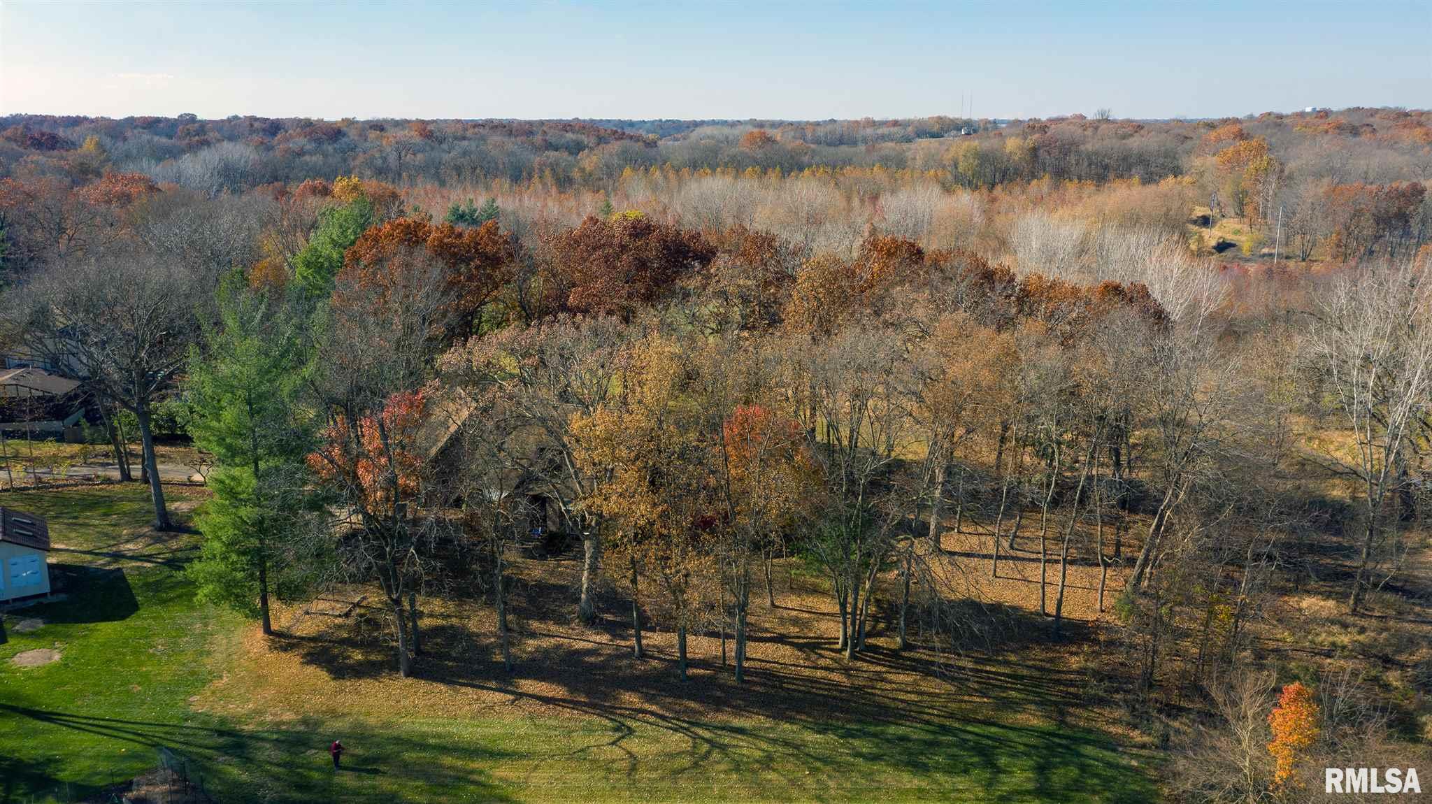 3829 West Bluffs Road Springfield, IL 62711 - Photo 4 of 44