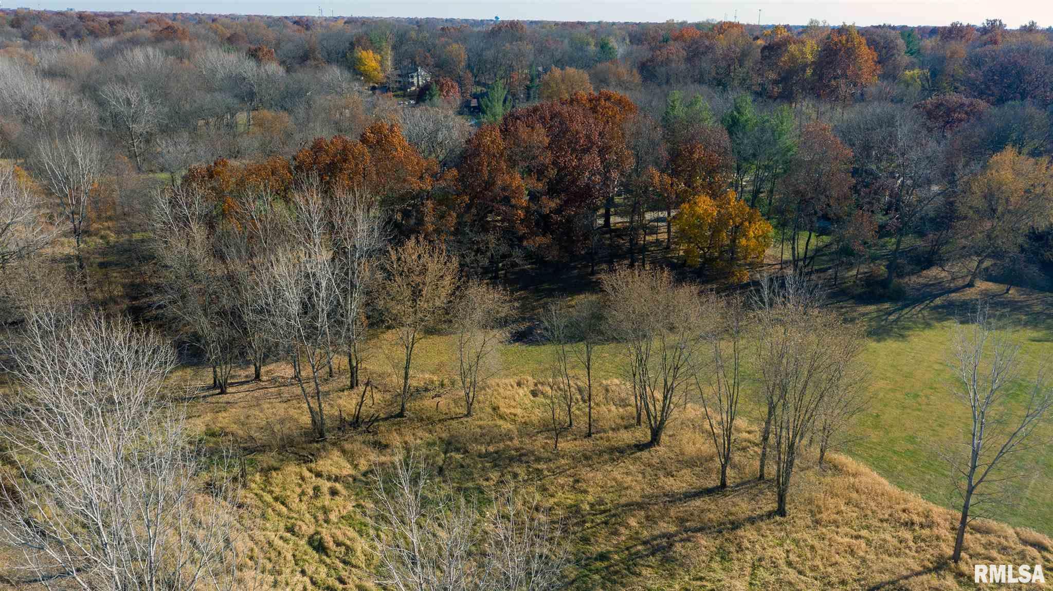 3829 West Bluffs Road Springfield, IL 62711 - Photo 6 of 44