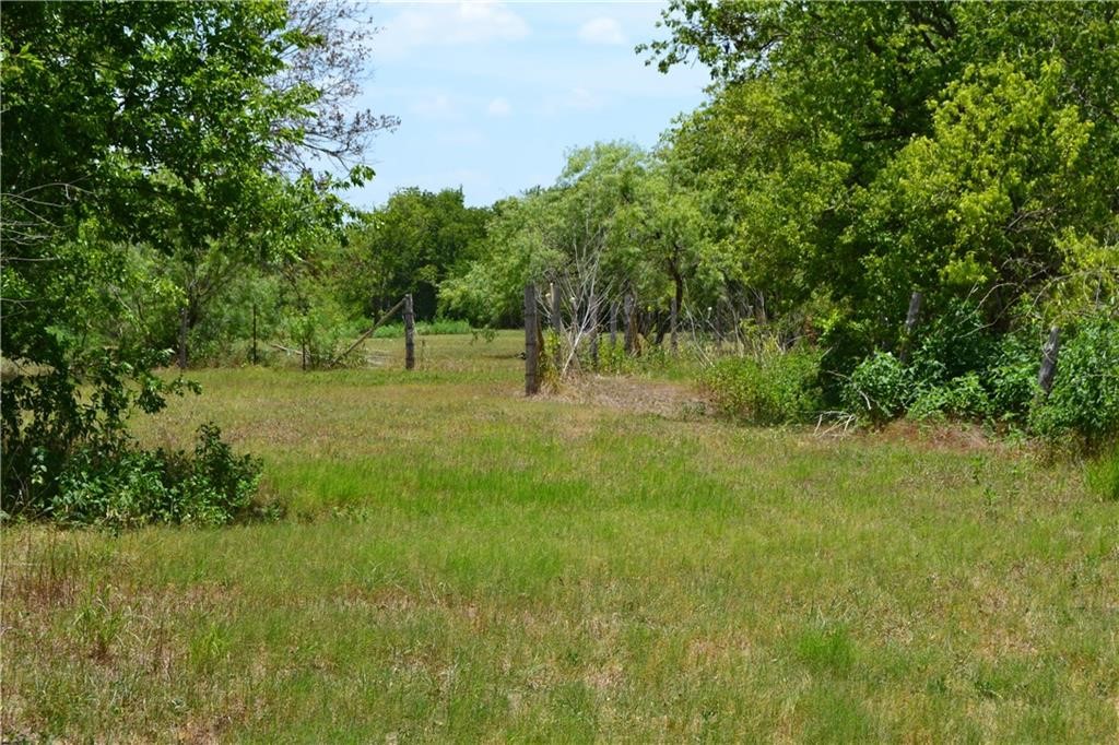 11248 Tom Sassman Road Austin, TX 78747 - Photo 4 of 24