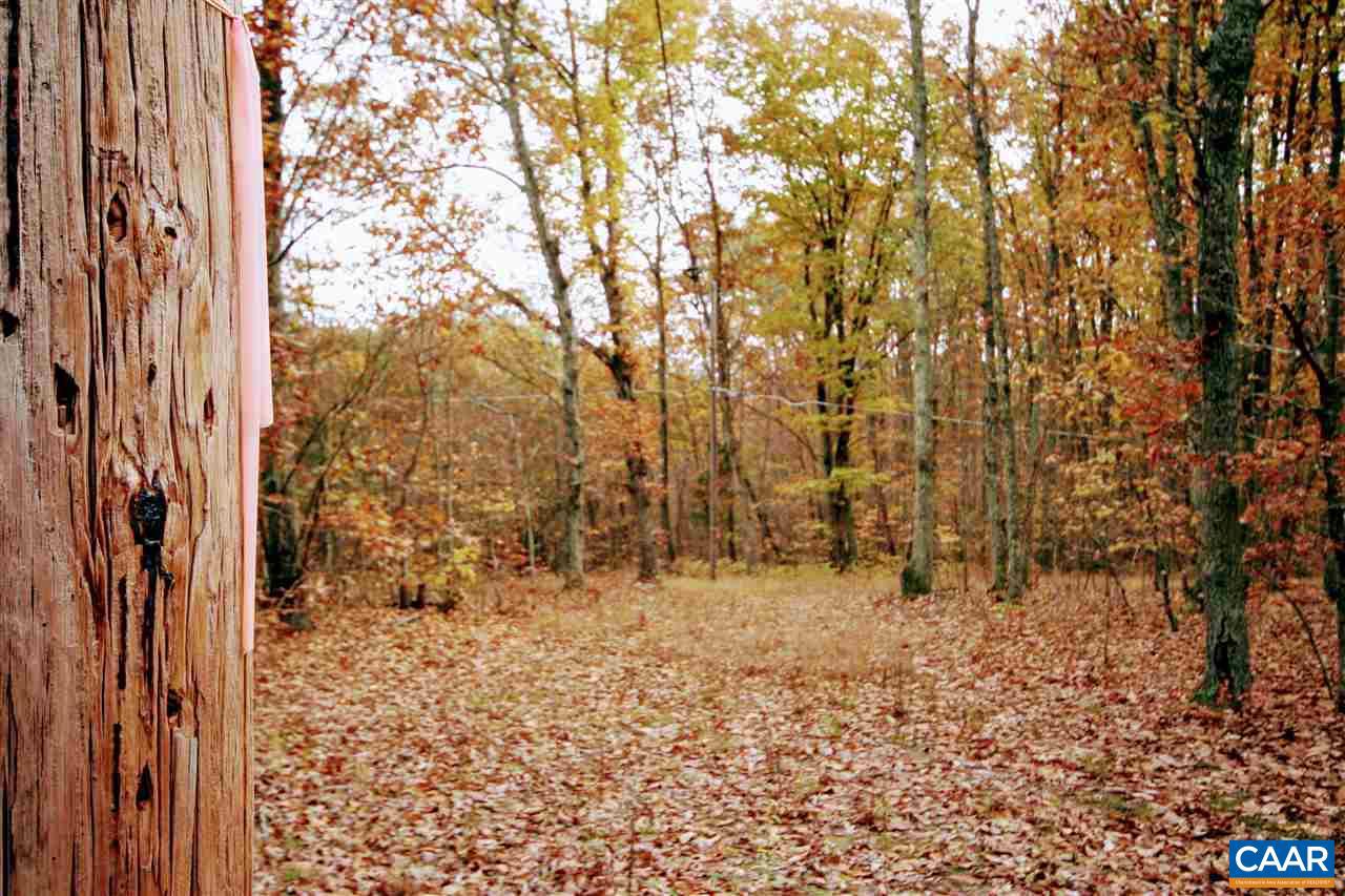Tbd Lot 9 Tbd Road, Unit LOT 9 Louisa, VA 23093 - Photo 2 of 18 Gallery Image 2
