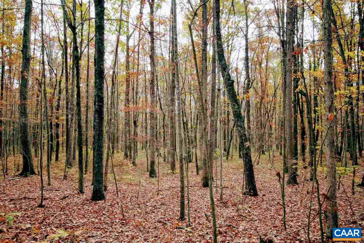 Tbd Lot 9 Tbd Road, Unit LOT 9 Louisa, VA 23093 - Photo 11 of 18 Gallery Image 11