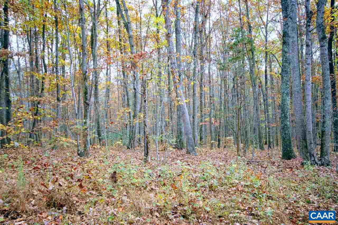 Tbd Lot 9 Tbd Road, Unit LOT 9 Louisa, VA 23093 - Photo 14 of 18 Gallery Image 14