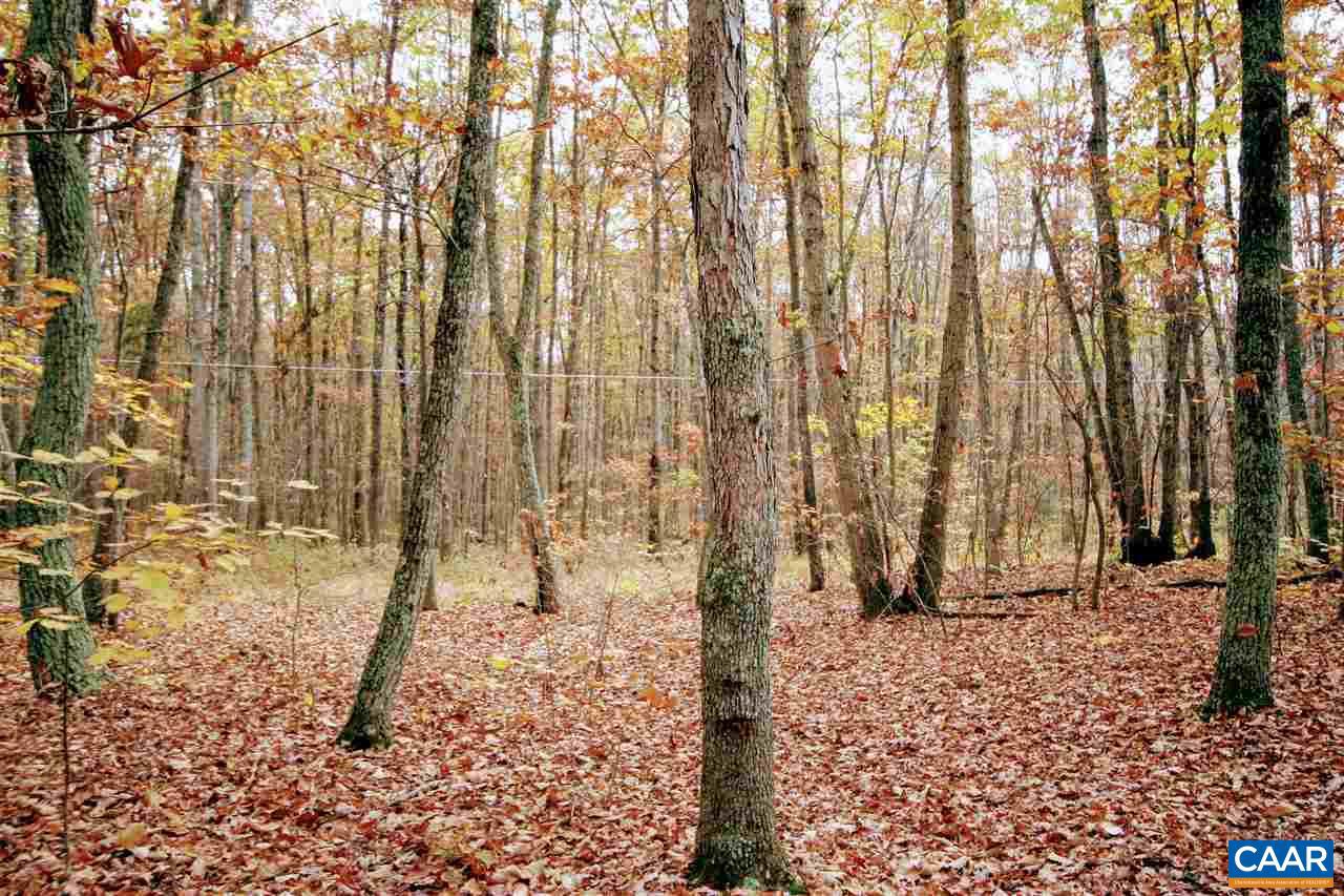 Tbd Lot 9 Tbd Road, Unit LOT 9 Louisa, VA 23093 - Photo 16 of 18 Gallery Image 16