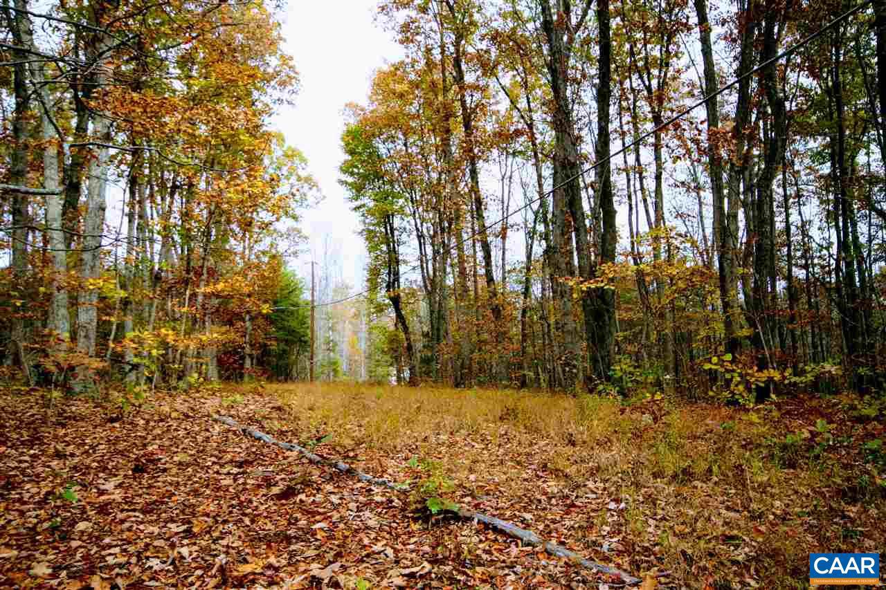 Tbd Lot 9 Tbd Road, Unit LOT 9 Louisa, VA 23093 - Photo 17 of 18 Gallery Image 17