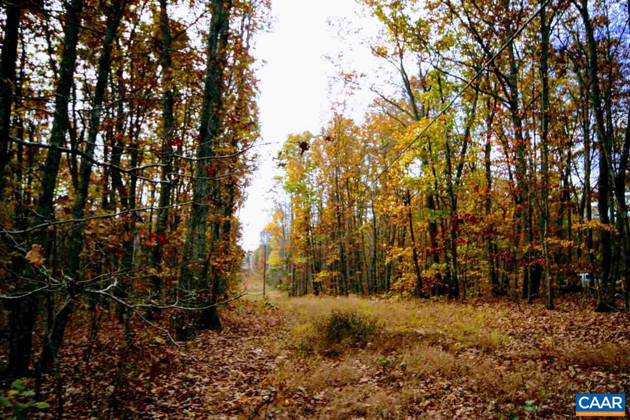 Tbd Lot 9 Tbd Road, Unit LOT 9 Louisa, VA 23093 - Photo 4 of 18 Gallery Image 4