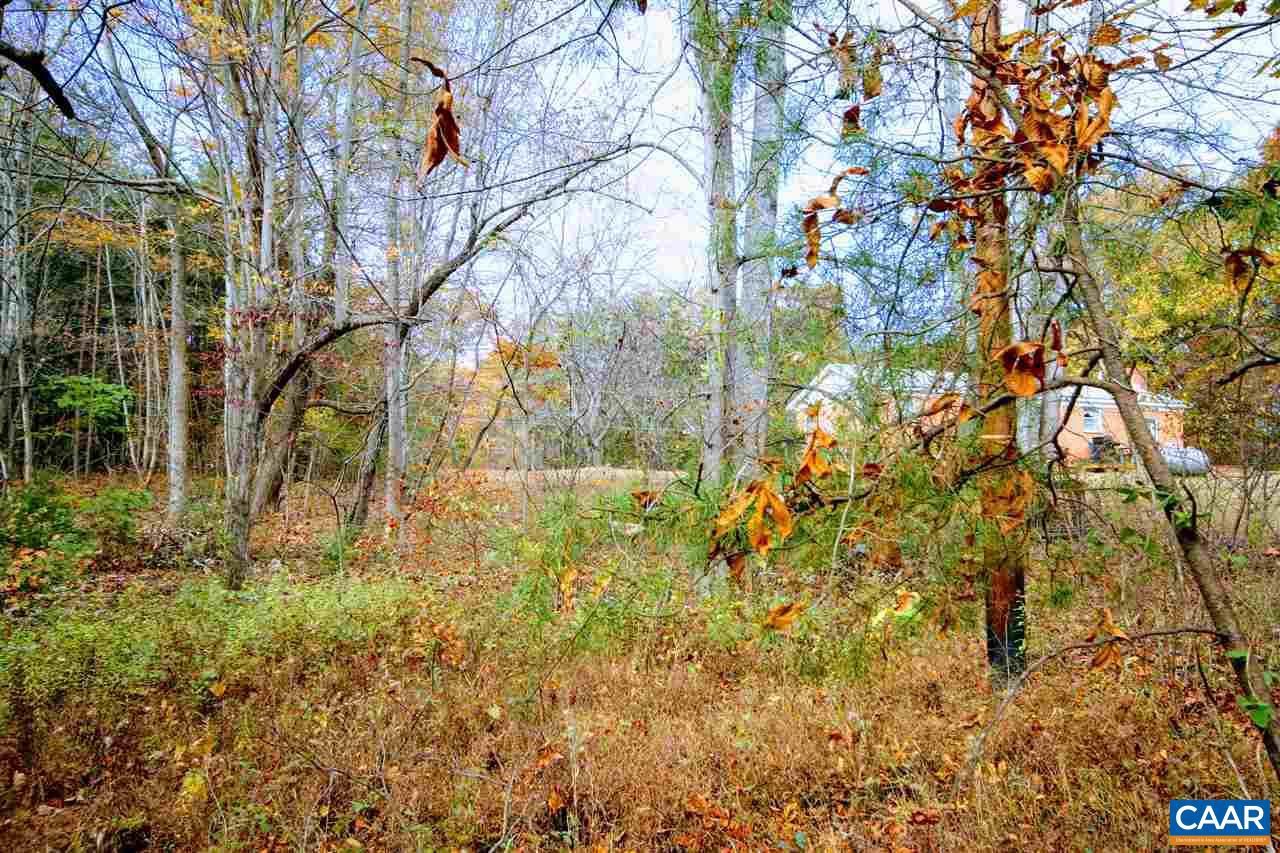 Tbd Lot 9 Tbd Road, Unit LOT 9 Louisa, VA 23093 - Photo 6 of 18 Gallery Image 6