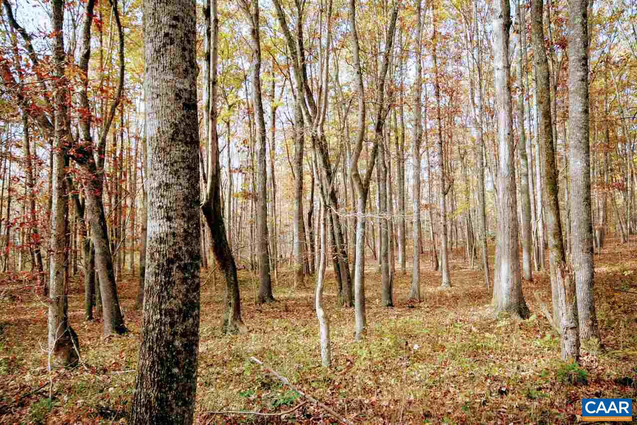 Tbd Lot 9 Tbd Road, Unit LOT 9 Louisa, VA 23093 - Photo 7 of 18 Gallery Image 7