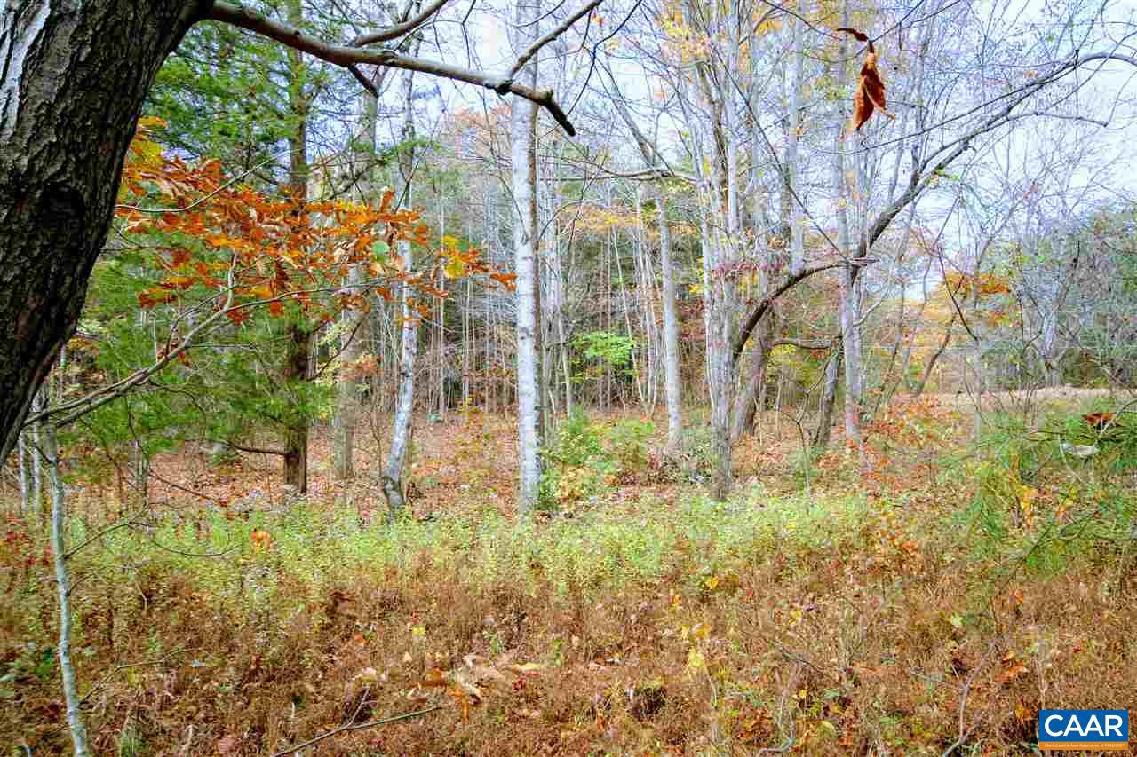 Tbd Lot 9 Tbd Road, Unit LOT 9 Louisa, VA 23093 - Photo 8 of 18 Gallery Image 8