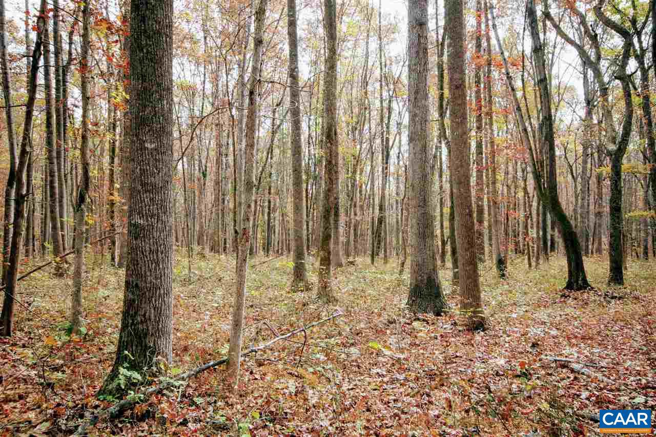 Tbd Lot 9 Tbd Road, Unit LOT 9 Louisa, VA 23093 - Photo 10 of 18 Gallery Image 10