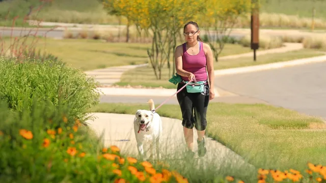 a picture of a book and a bed