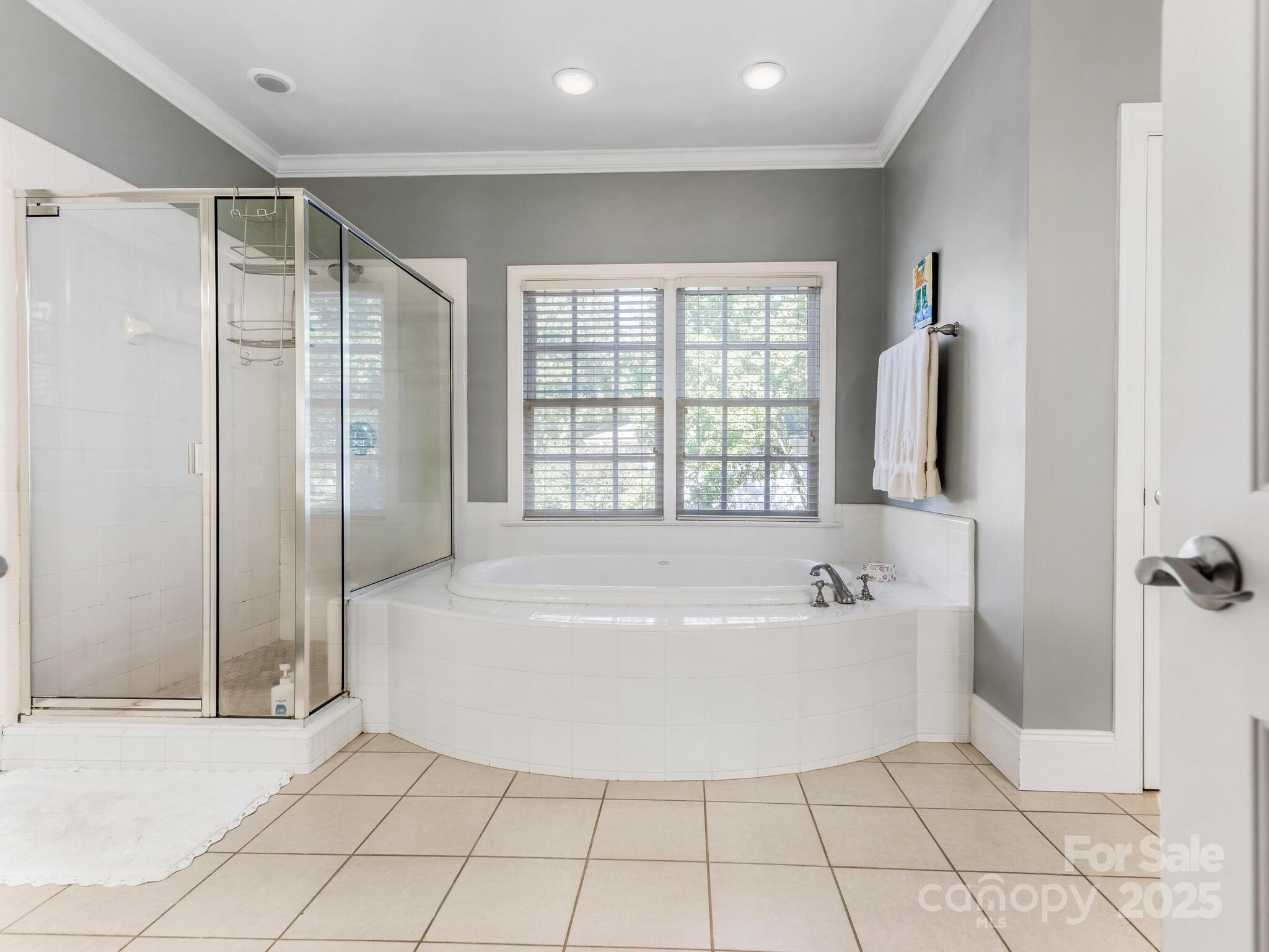 1110 Princeton Avenue Charlotte, NC 28209 - Photo 18 of 29 a bathroom with a bathtub and a shower