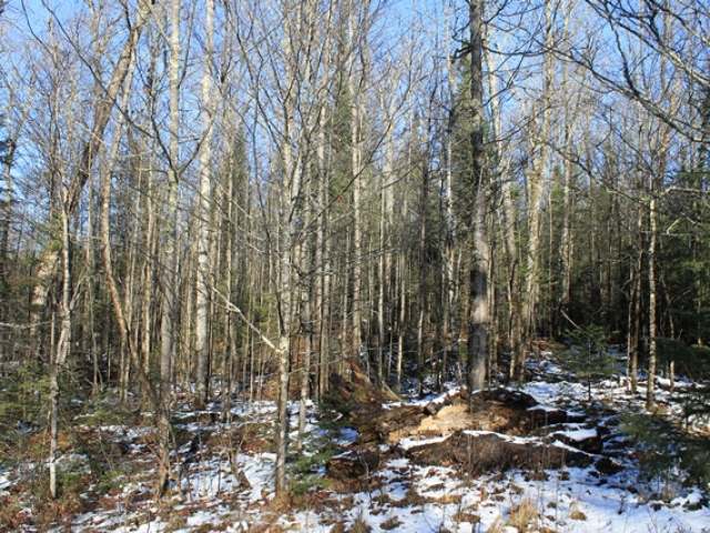 On On Cth G, Unit LT11 Mercer, WI 54547 - Photo 10 of 12 Gallery Image 10