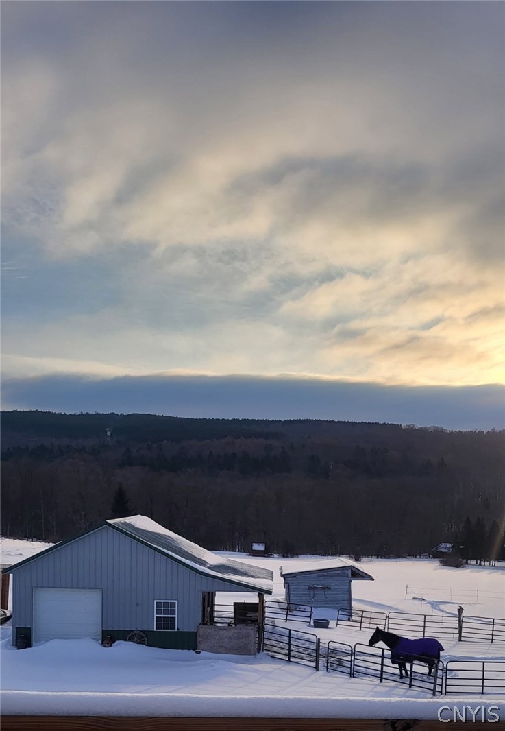 1024 N Road Tully, NY 13159 - Photo 49 of 49