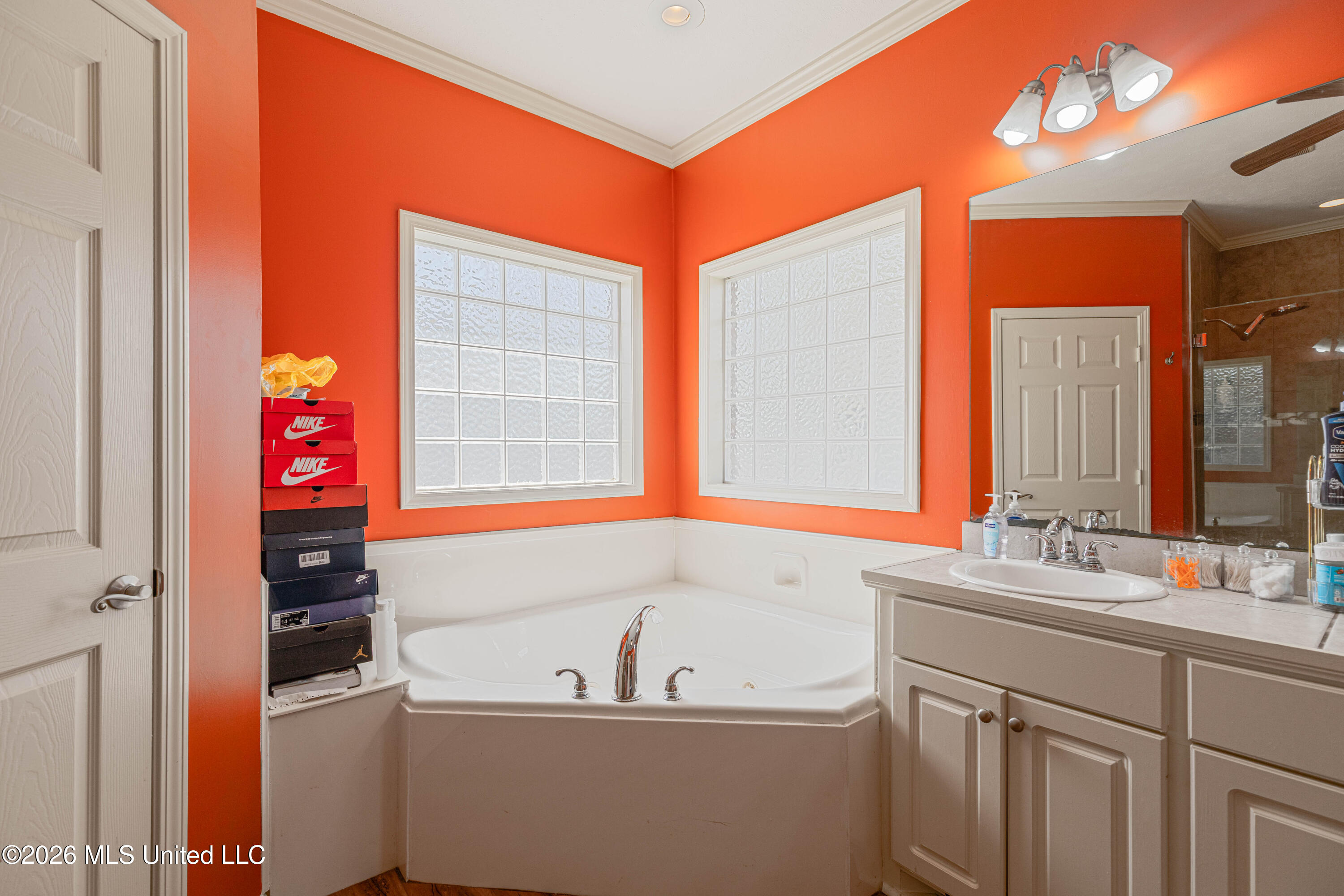 301 Springhill Point Brandon, MS 39047 - Photo 28 of 46 IMG_7867-Edit