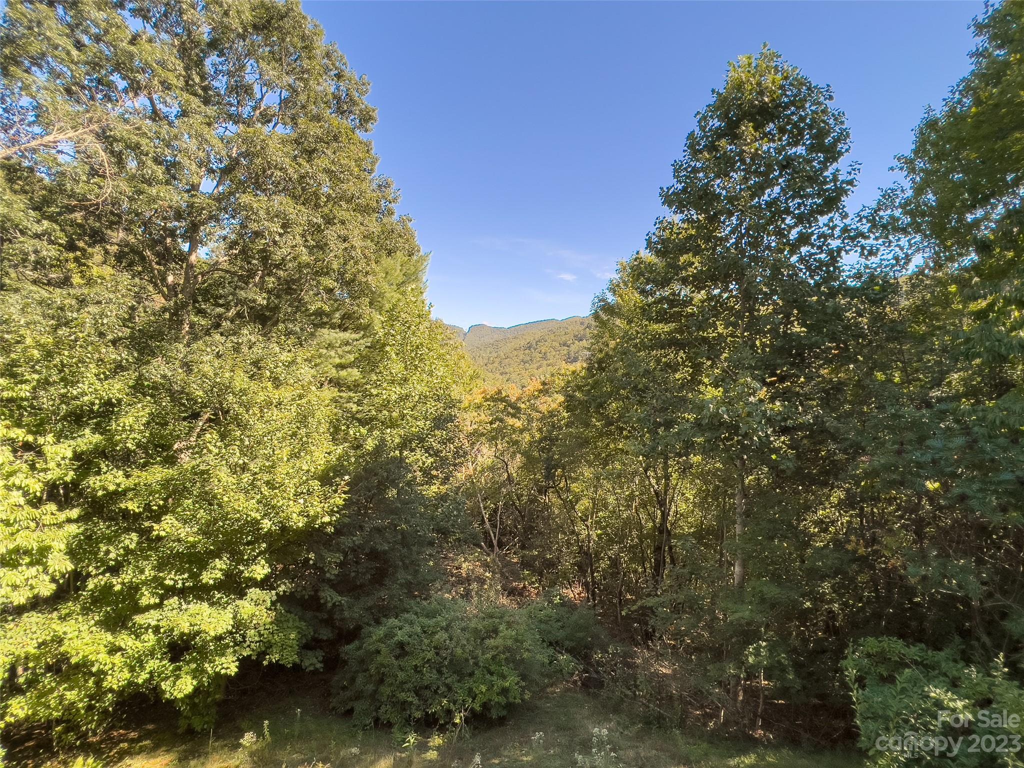 125 Parris Field Road Bryson City, NC 28713 - Photo 13 of 25 a view of a forest