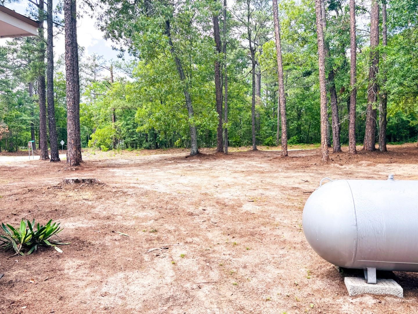 2134 Moccasin Bluff Road Hamer, SC 29547 - Photo 21 of 29