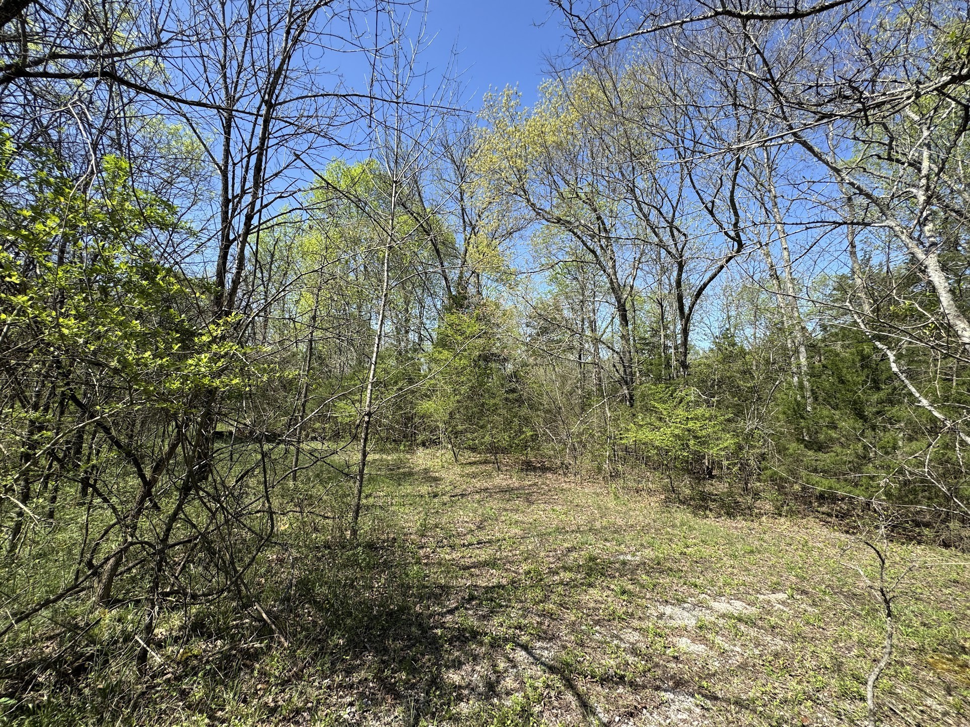 0 Canoe Branch Road Lebanon, TN 37087 - Photo 3 of 6