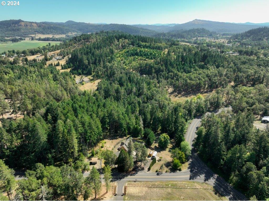 1426 Cleveland Loop Road Roseburg, OR 97471 - Photo 41 of 47 Gallery Image 41