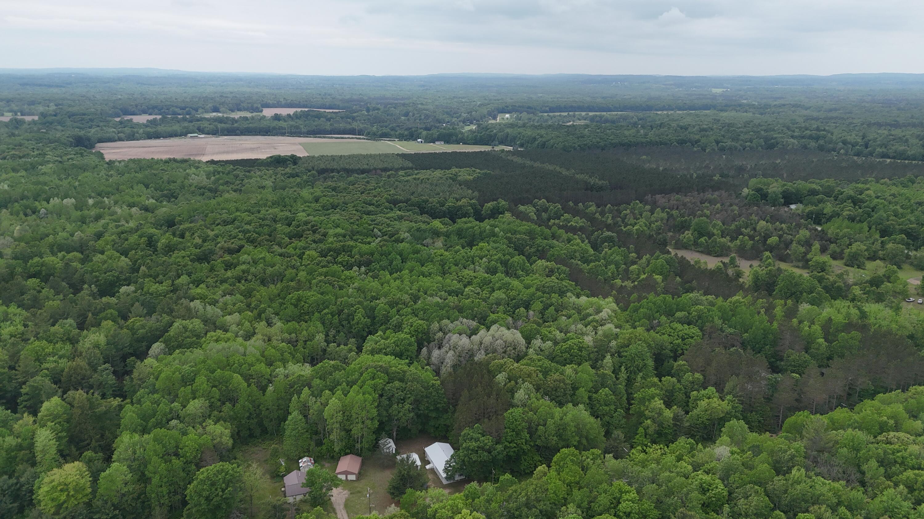 6780 North High Bridge Road Brethren, MI 49619 - Photo 38 of 41 Highbridge