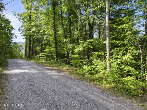 $85,000 | 0 Grouse Top (lot 4) Road, Walland, TN 37886