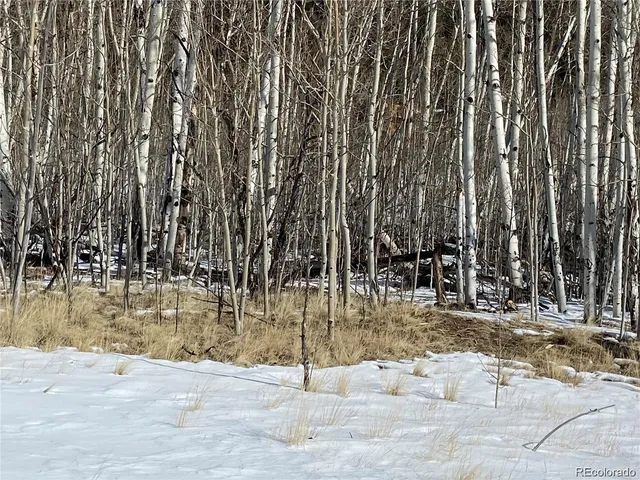 a view of outdoor space