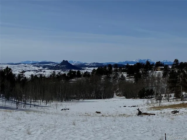 a view of trees with sky view