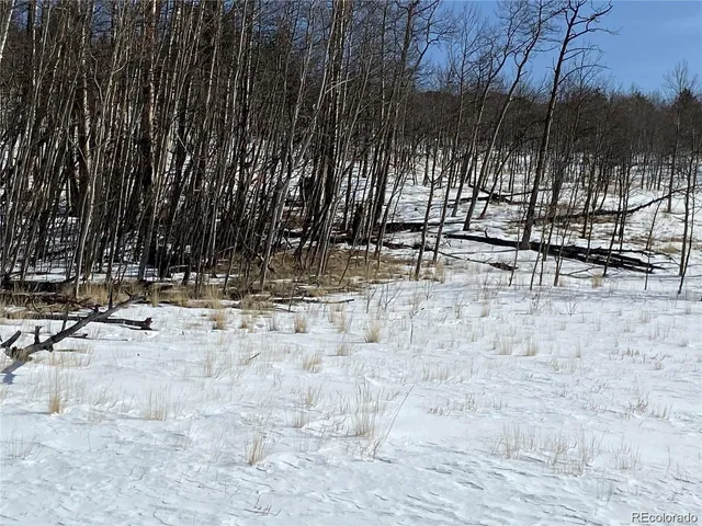 a view of a dry yard covered with snow