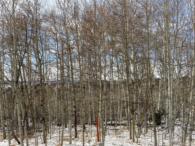 $100,000 | 1 Bonus Gulch Way, Jefferson, CO 80456