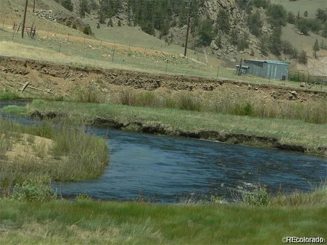 a view of a yard with large trees