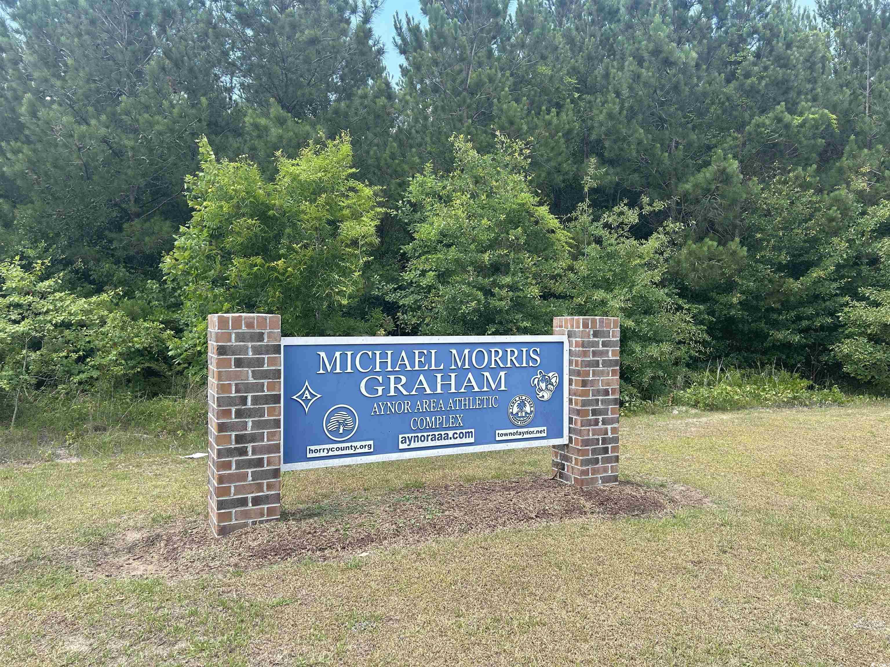 2347 King Farm Road Aynor, SC 29511 - Photo 28 of 36