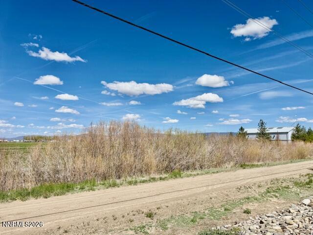 1147 White Oak Loop Minden, NV 89423 - Photo 23 of 23 a view of a yard
