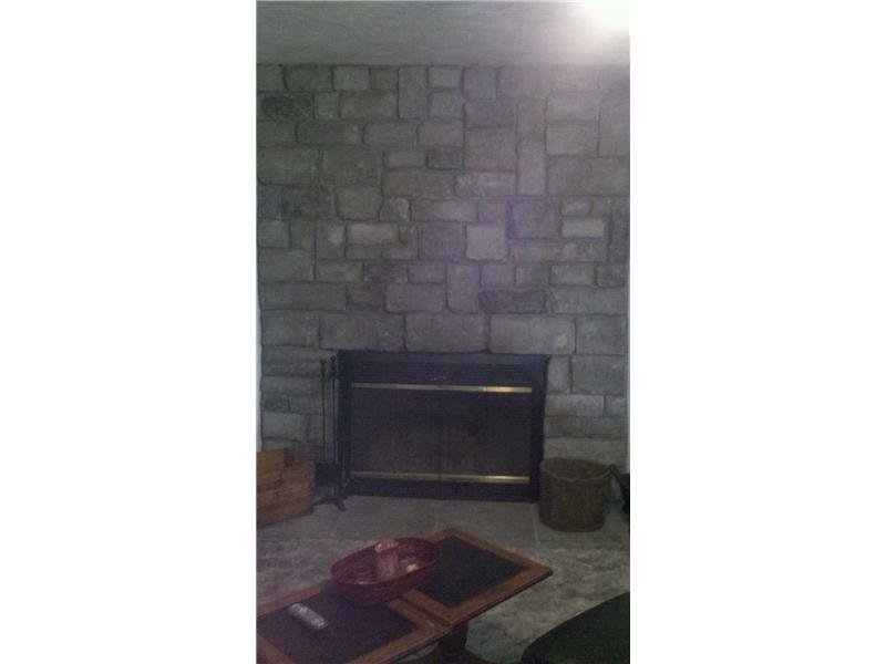 204 Ralston Road Sarver, PA 16055 - Photo 16 of 18 Family Room. Fireplace in lower level
