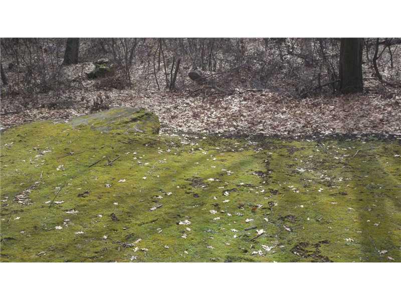 204 Ralston Road Sarver, PA 16055 - Photo 18 of 18 Yard/Garden.