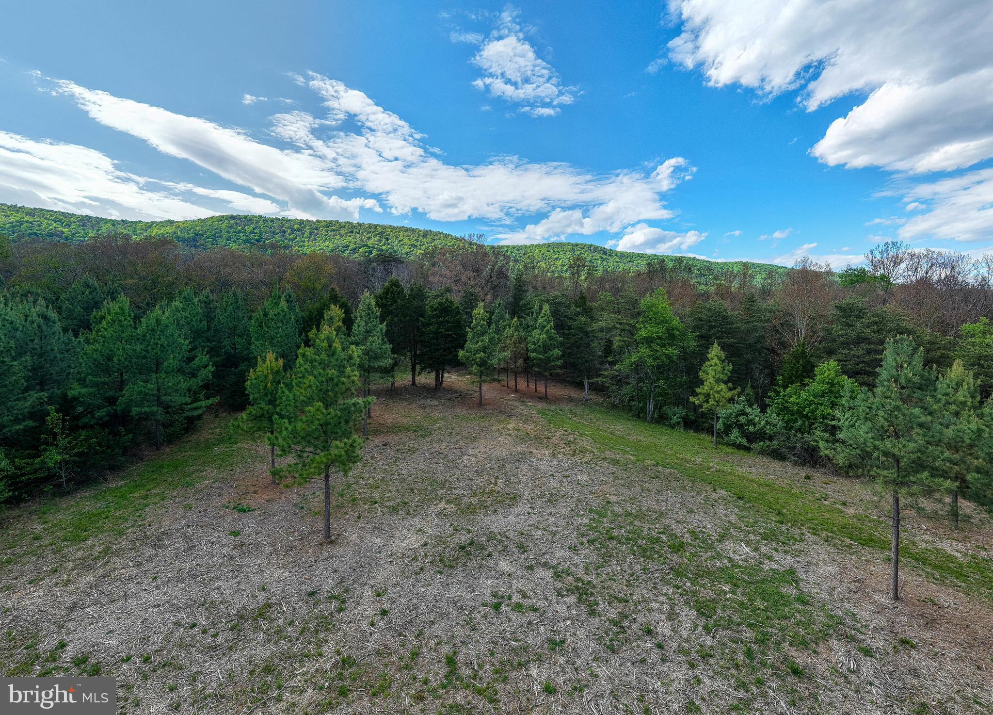 Boliver Road Fort Valley, VA 22652 - Photo 4 of 49 Gallery Image 4