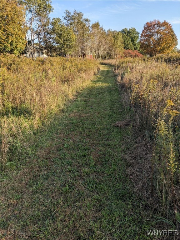 0 Riverside Drive Scio, NY 14880 - Photo 11 of 19