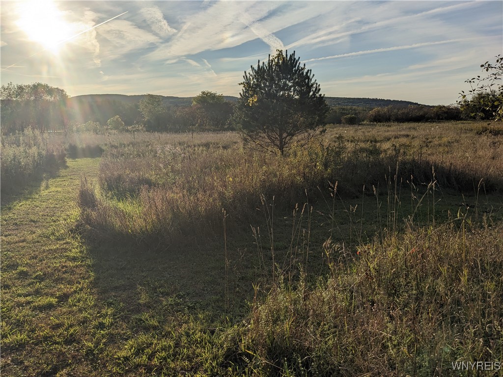 0 Riverside Drive Scio, NY 14880 - Photo 12 of 19