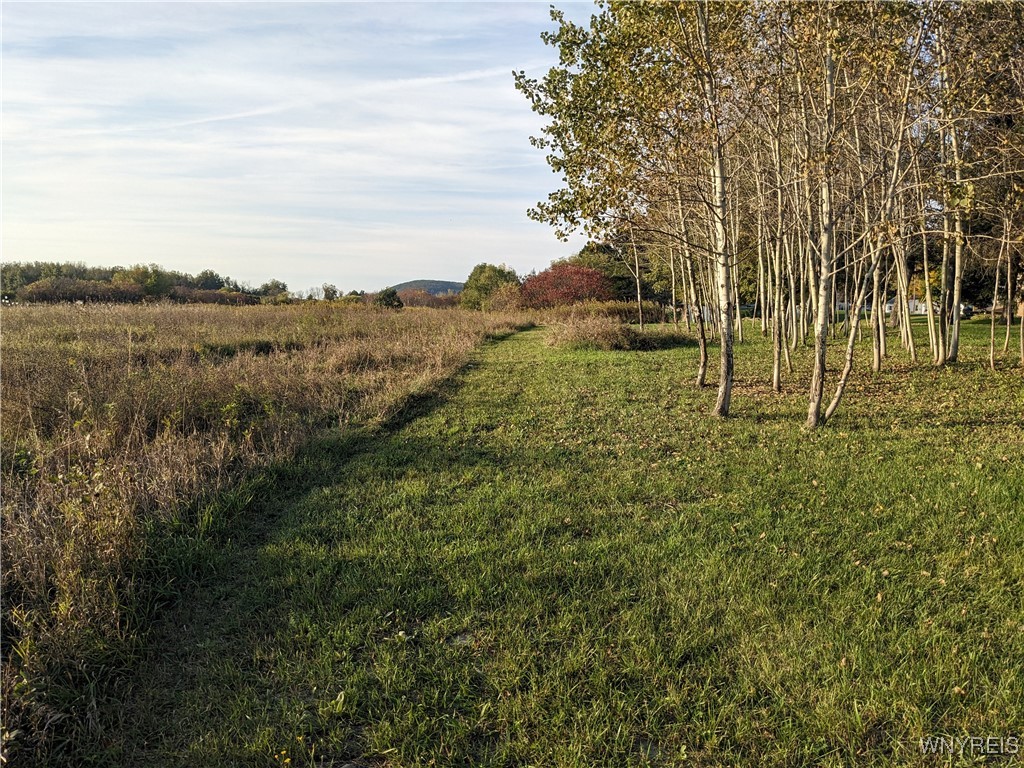 0 Riverside Drive Scio, NY 14880 - Photo 13 of 19